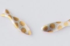 kleiner Fisch Ohrstecker Ag mit vergoldeten Pünktchen